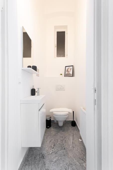 Franz 23 - Typical Viennese Apartment In The Heart Of Wien Exteriör bild